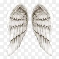 ��� ��ë ëƤ-������