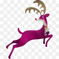 驯鹿 圣诞节驯鹿 圣诞节-空若网 驯鹿 圣诞节驯鹿 圣诞节-空若网