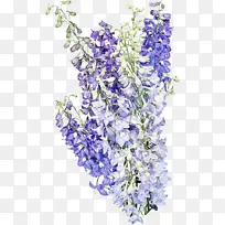 �ɹ���Ʒ�� ޹�²� ֲ��-������