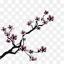 花 植物 树枝-空若网 花 植物 树枝-空若网