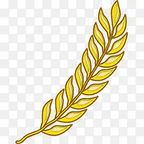 »ÆÉ« Ö²Îï ²Ý¿Æ-¿ÕÈôÍø »ÆÉ« Ö²Îï ²Ý¿Æ-¿ÕÈôÍø