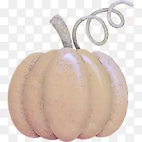 南瓜 植物 水果-空若网 南瓜 植物 水果-空若网
