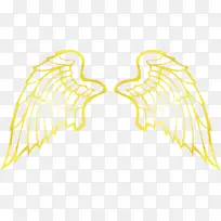 翅膀 鸟翅膀 角翅膀-空若网 翅膀 鸟翅膀 角翅膀-空若网