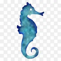 海马 北海马 绿松石-空若网 海马 北海马 绿松石-空若网