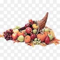 天然食品 食品组 食品-空若网 天然食品 食品组 食品-空若网