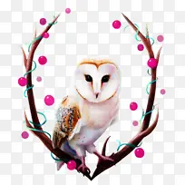 èͷӥ �� ��֦-������