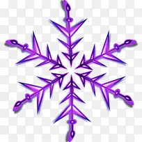 紫色 叶子 植物-空若网 紫色 叶子 植物-空若网