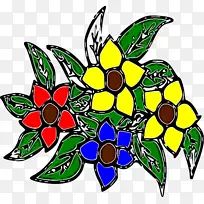 花 植物 花瓣-空若网 花 植物 花瓣-空若网