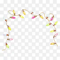 ��֦ ϸ֦ ��-������