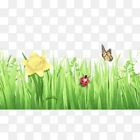 �� ��ɫ ֲ��-������