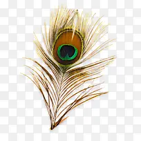 羽毛 眼睛 天然材料-空若网 羽毛 眼睛 天然材料-空若网