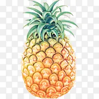 菠萝 水果 天然食品-空若网 菠萝 水果 天然食品-空若网