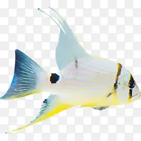 Ë®²Ê» ÑÕÁÏ ÊªÄ«Ë®-¿ÕÈôÍø Ë®²Ê» ÑÕÁÏ ÊªÄ«Ë®-¿ÕÈôÍø