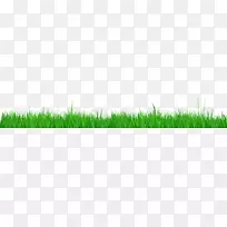 麦草叶植物茎桌面壁纸场-空若网 麦草叶植物茎桌面壁纸场-空若网