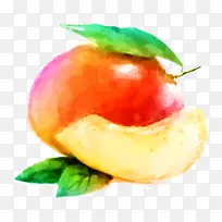 ʳ�� ˮ�� ֲ��-������