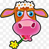 ��ͨ ��ɫ ����-������