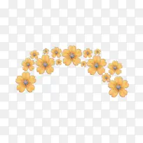 ��ɫ �� ��ɫ-������