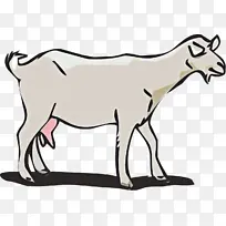 野生动物 线条艺术 动物形象-空若网 野生动物 线条艺术 动物形象-空若网