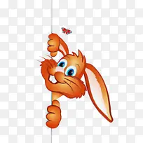 卡通 橙色 尾巴-空若网 卡通 橙色 尾巴-空若网