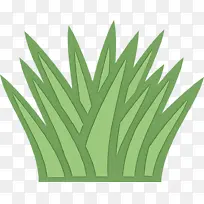 ÂÌÉ« Ò¶ ²Ý-¿ÕÈôÍø ÂÌÉ« Ò¶ ²Ý-¿ÕÈôÍø