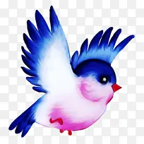 鸟 翅膀 喙-空若网 鸟 翅膀 喙-空若网