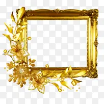 ��ɫ ��� ������-������