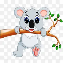 卡通 考拉 鼻子-空若网 卡通 考拉 鼻子-空若网