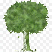 ������ ��ͨ�� ��-������