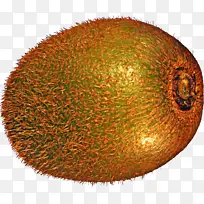 水果 植物 食品-空若网 水果 植物 食品-空若网