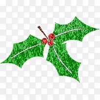 冬青树 圣诞装饰品 树叶-空若网 冬青树 圣诞装饰品 树叶-空若网