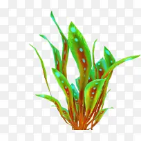 采购产品水族馆装饰 植物 草-空若网 采购产品水族馆装饰 植物 草-空若网