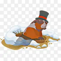 �������� �������տ��� ������-������