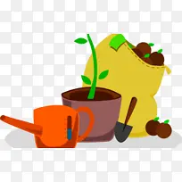 ���� ���� ֲ��-������