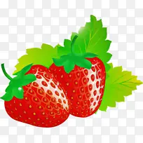 ��ݮ Ҷ�� ˮ��-������