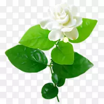 ����-����-������