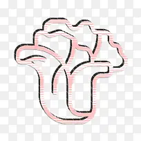 水果和蔬菜图标 生菜图标 饮食图标-空若网 水果和蔬菜图标 生菜图标 饮食图标-空若网