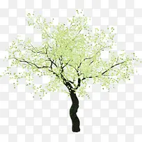 �� ֲ�� ��֦-������