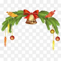 树 植物 冷杉-空若网 树 植物 冷杉-空若网