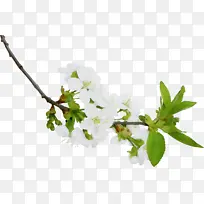 水彩画 颜料 湿墨-空若网 水彩画 颜料 湿墨-空若网