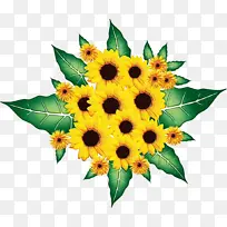 ÏòÈÕ¿û Ë®²Ê» ÑÕÁÏ-¿ÕÈôÍø ÏòÈÕ¿û Ë®²Ê» ÑÕÁÏ-¿ÕÈôÍø