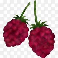 水果 天然食品 植物-空若网 水果 天然食品 植物-空若网