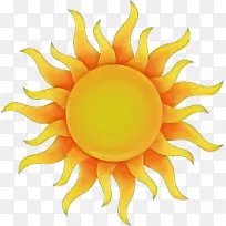 黄色 橙色 花-空若网 黄色 橙色 花-空若网