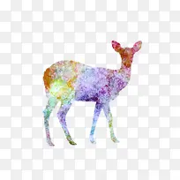 鹿 动物形象 野生动物-空若网 鹿 动物形象 野生动物-空若网