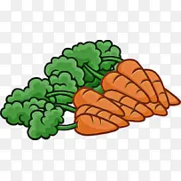 Ҷ ֲ�� Ҷ���߲�-������