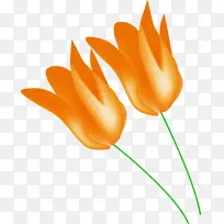 橙色 黄色 植物-空若网 橙色 黄色 植物-空若网