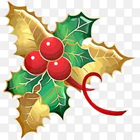 冬青树 圣诞装饰品 树叶-空若网 冬青树 圣诞装饰品 树叶-空若网