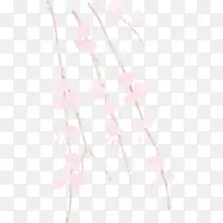 粉色 白色 树枝-空若网 粉色 白色 树枝-空若网