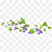 花边 花背景 紫色-空若网 花边 花背景 紫色-空若网