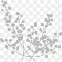 ��֦ Ҷ�� ֲ��-������