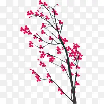 樱花 树枝 花-空若网 樱花 树枝 花-空若网